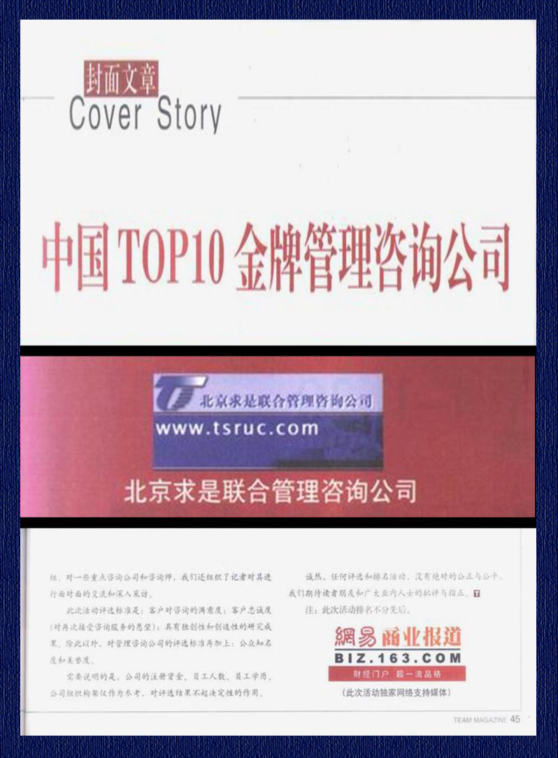 2004年中国TOP10金牌管理咨询公司